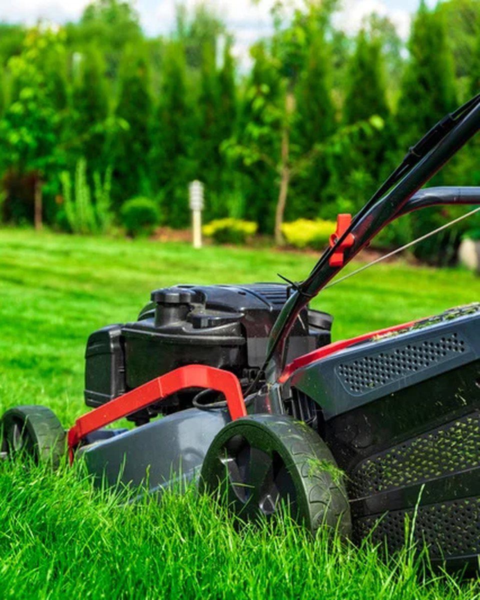 Lawn mower cutting a lush green lawn in Powell River, BC