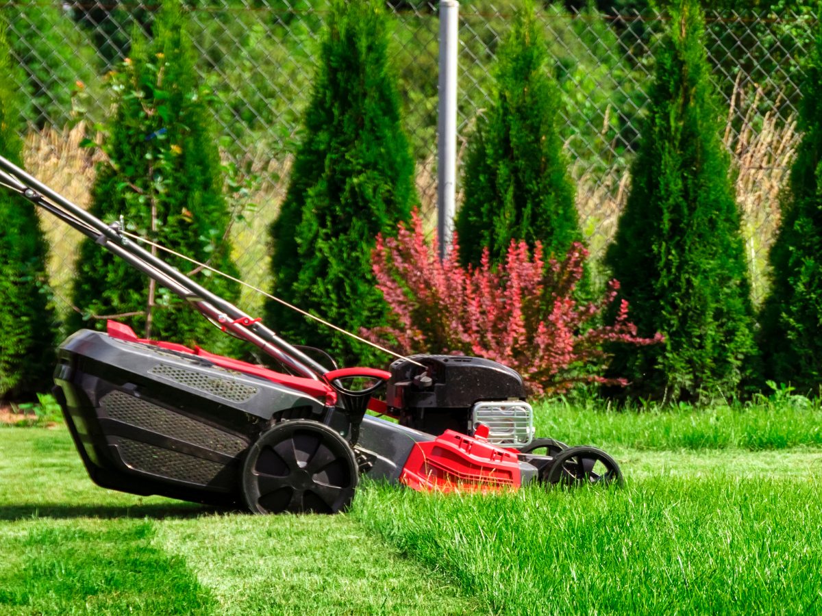 Lawn mower on freshly cut grass in a fenced backyard in Powell River