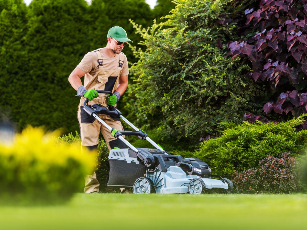 Landscaper mowing a lawn beside flowering shrubs in Powell River, BC